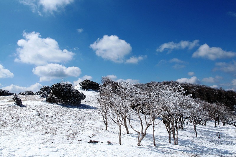 霧氷のトンネルを歩く三峰山 22 02 25 大垣山岳協会 霧氷のトンネルを歩く三峰山 22 02 25 大垣山岳協会